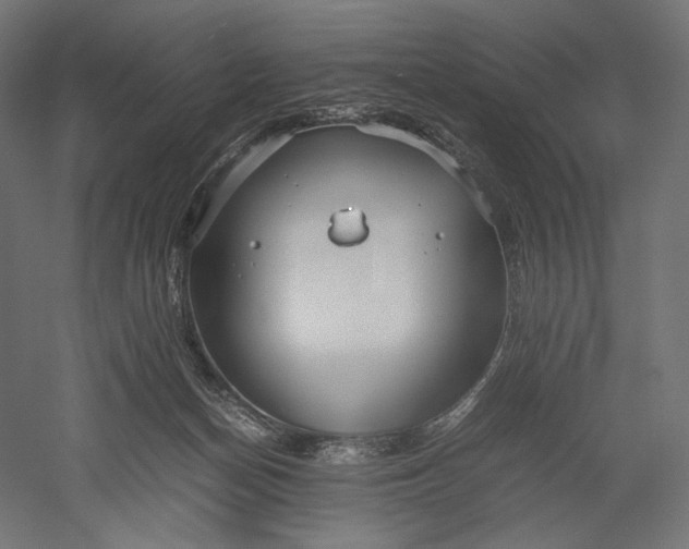 X0000051250174200507011702