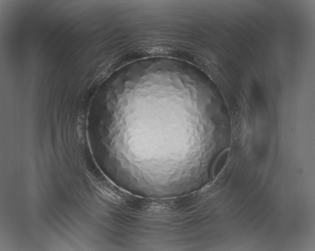 X0000051250175200507011702