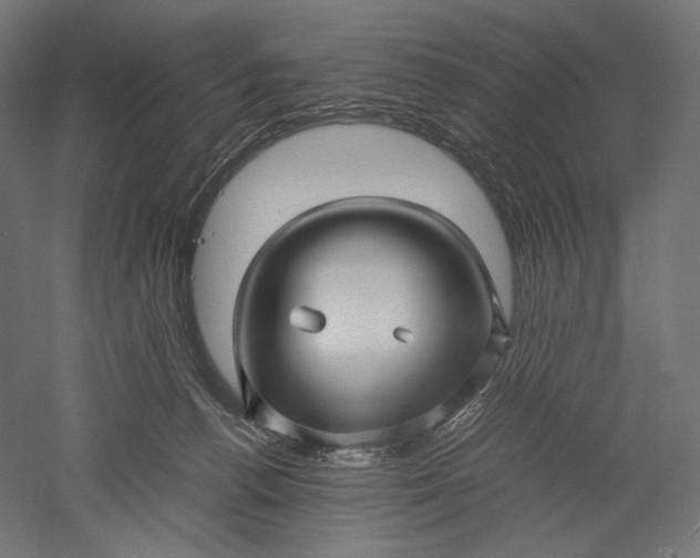 X0000051250176200507011702