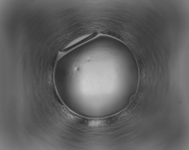 X0000051250177200507011702