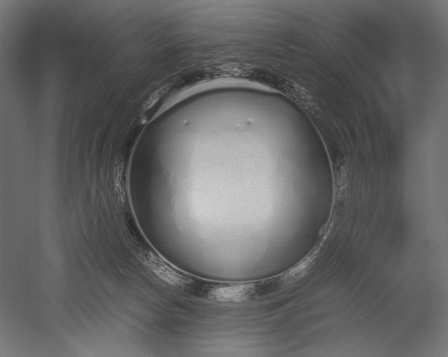 X0000051250178200507011702