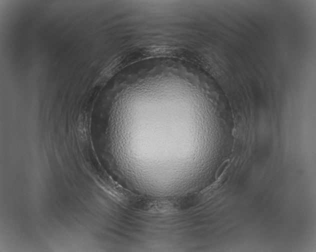 X0000051250179200507011702