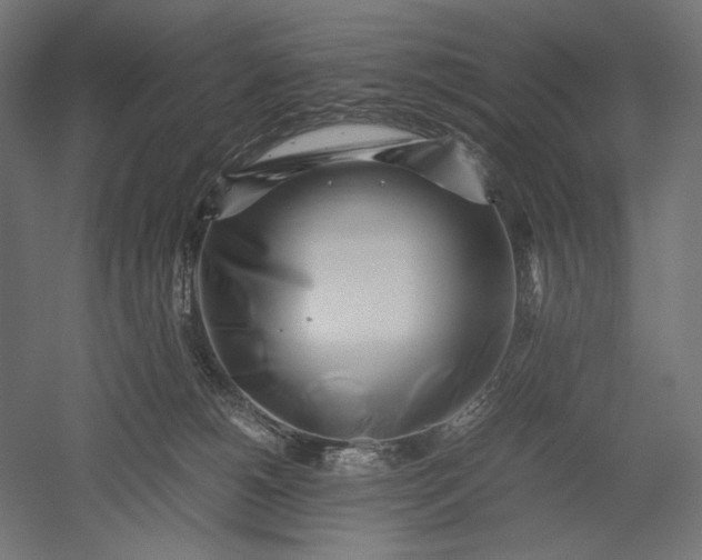 X0000051250180200507011702