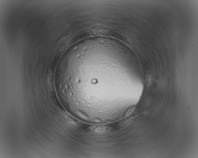 X0000051250181200507011702