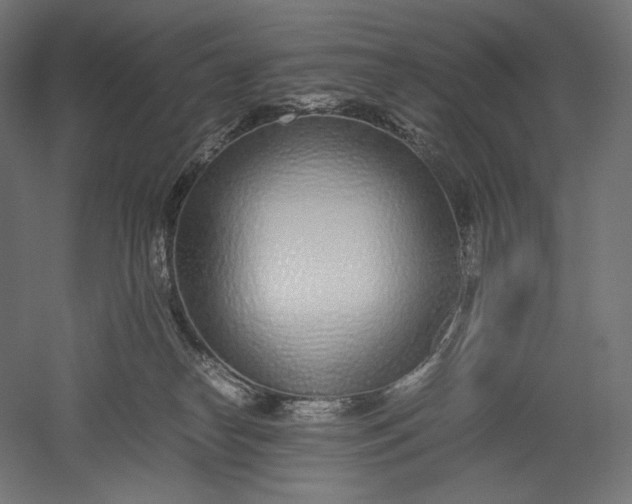 X0000051250182200507011702