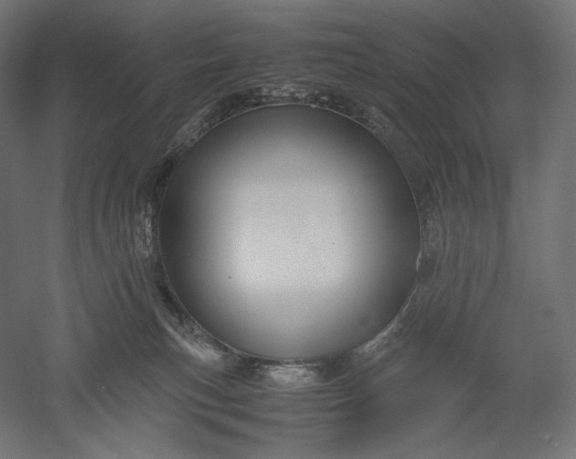 X0000051250183200507011702