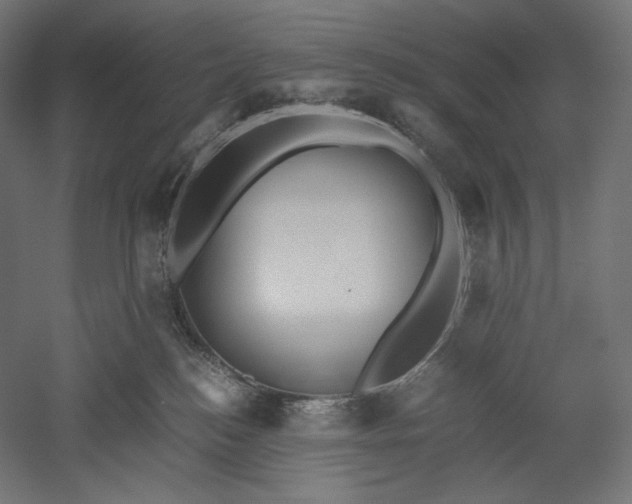 X0000051250184200507011702