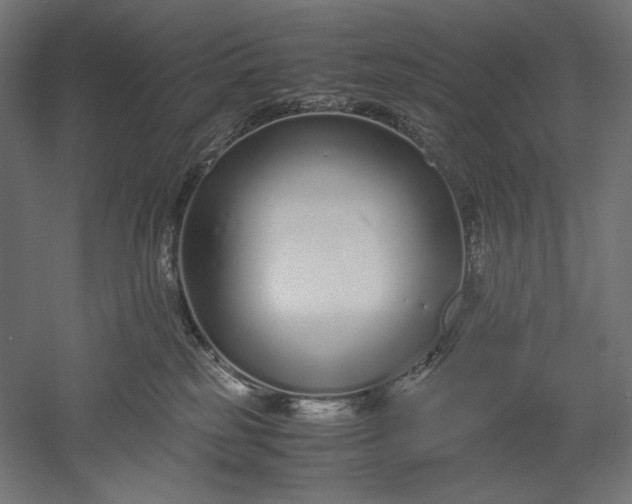 X0000051250185200507011702