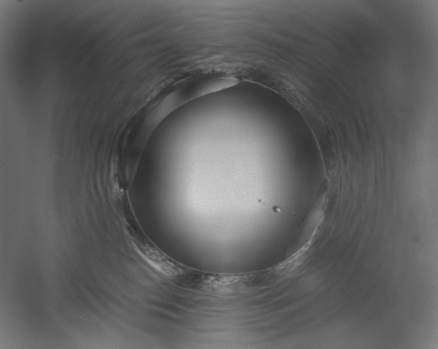 X0000051250186200507011702