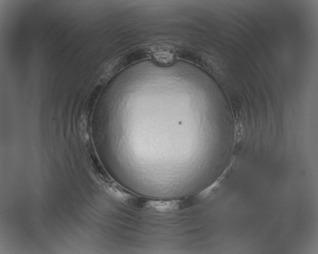 X0000051250187200507011702