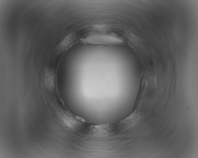 X0000051250188200507011702