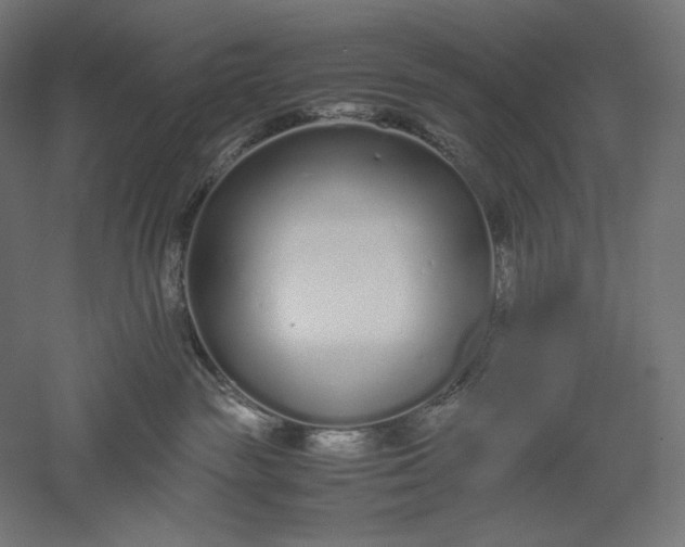 X0000051250189200507011702