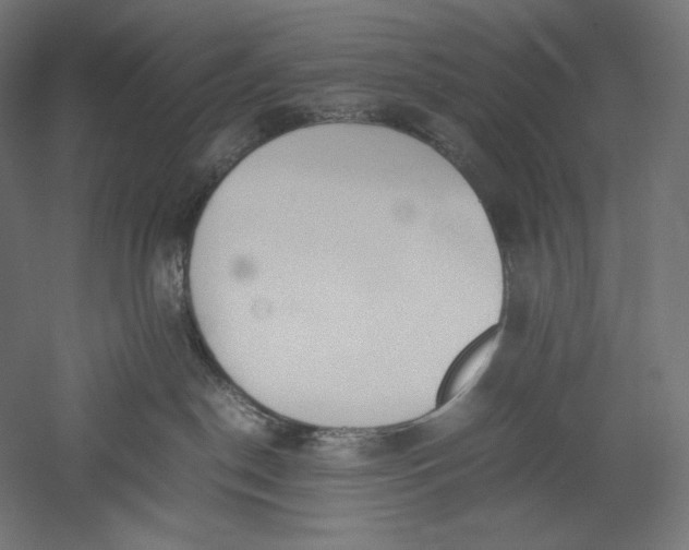 X0000051250190200507011702