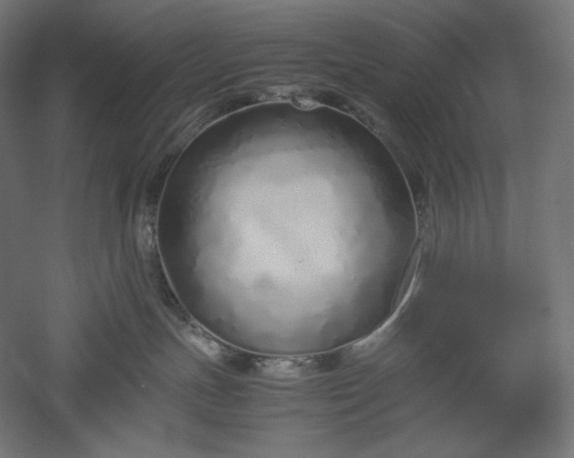 X0000051250191200507011702