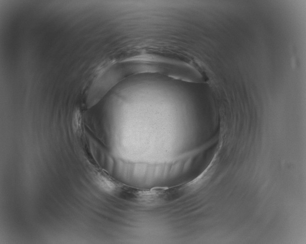 X0000051250192200507011702