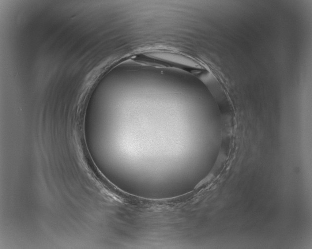 X0000051250193200507011701