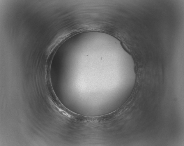 X0000051250194200507011701