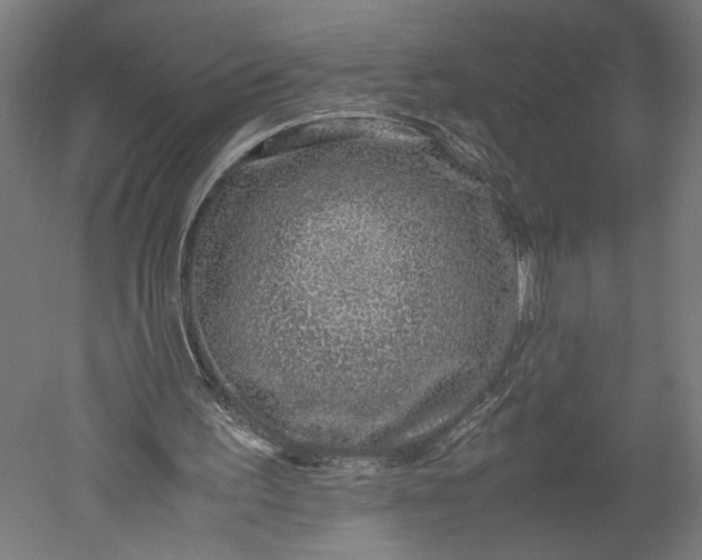 X0000051250195200507011701