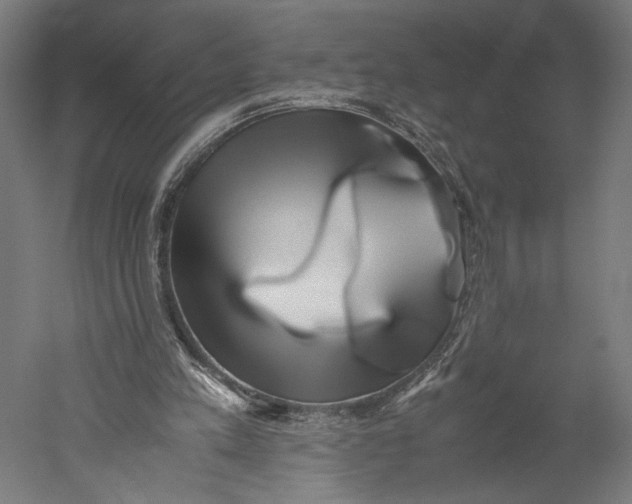 X0000051250197200507011701