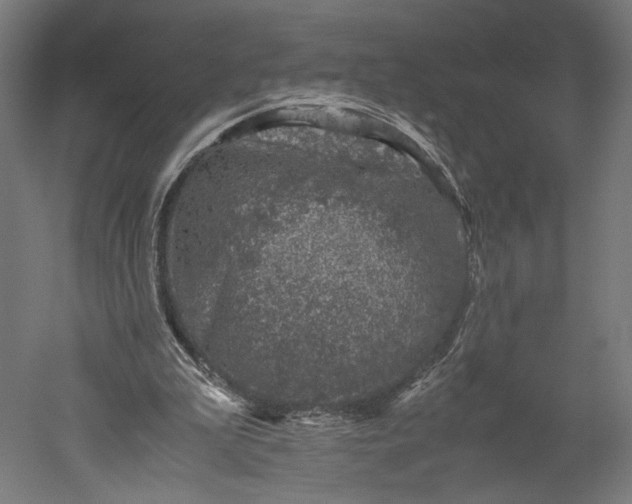 X0000051250199200507011701