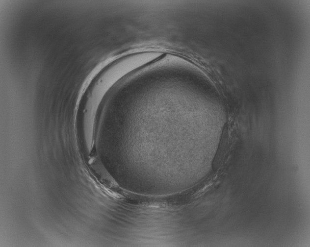 X0000051250200200507011701