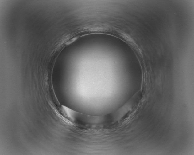 X0000051250201200507011701