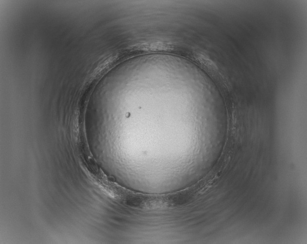 X0000051250202200507011701