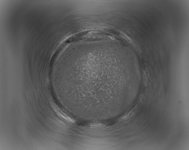 X0000051250203200507011701