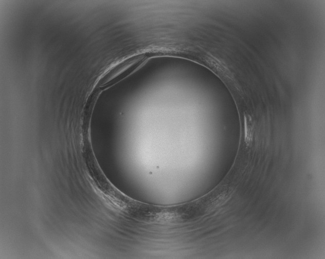 X0000051250204200507011701