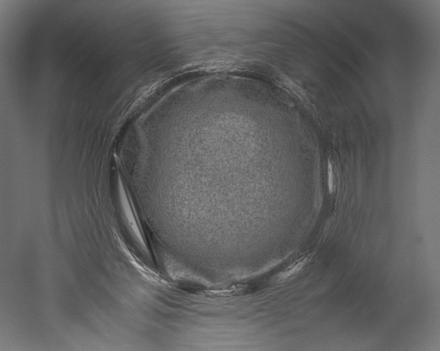 X0000051250205200507011701