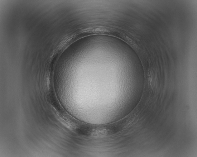 X0000051250206200507011701