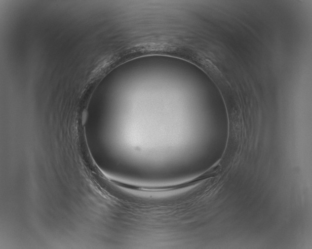 X0000051250207200507011701