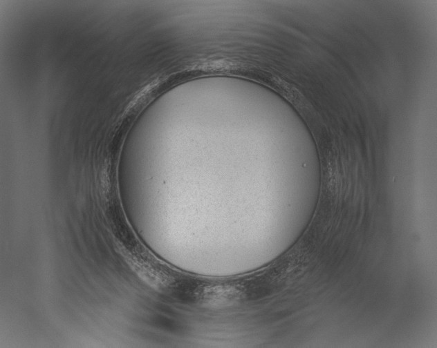 X0000051250208200507011701