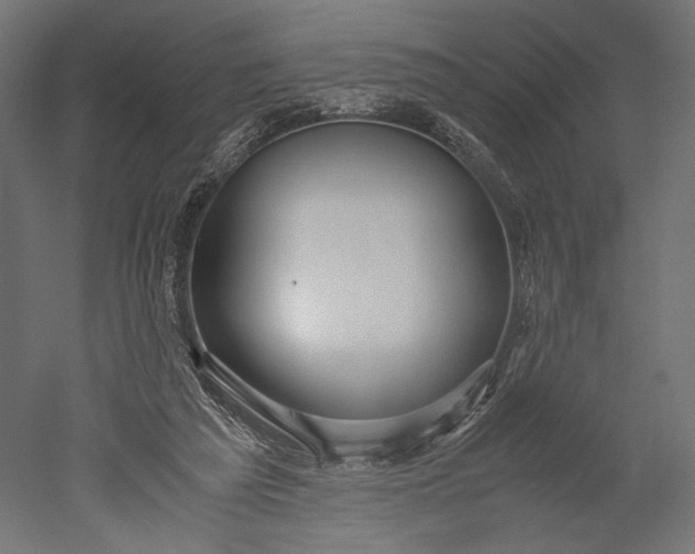 X0000051250209200507011701