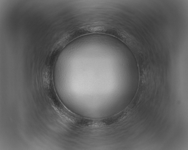 X0000051250210200507011701