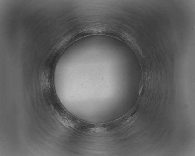 X0000051250212200507011701