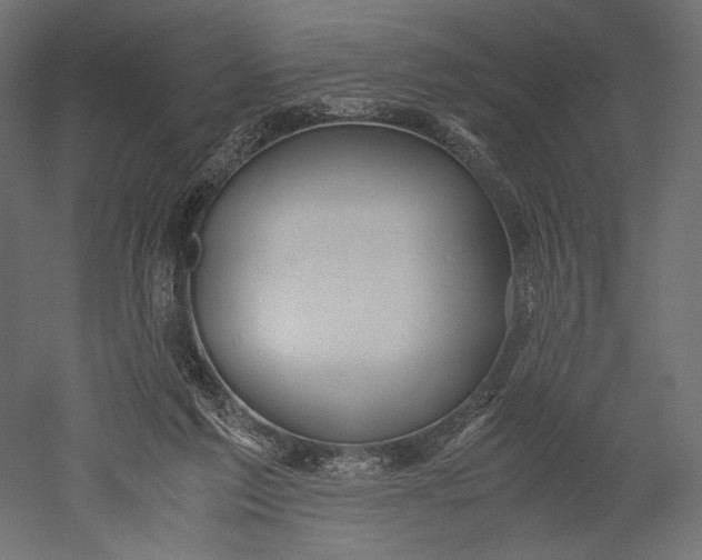 X0000051250213200507011701