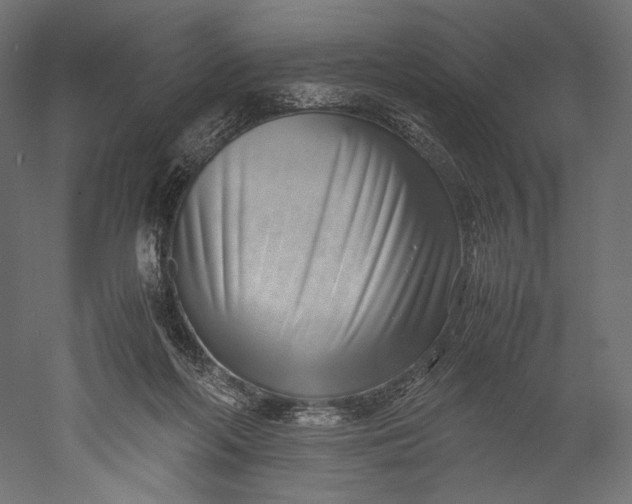 X0000051250214200507011701