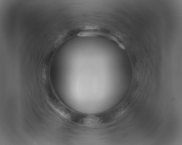 X0000051250215200507011701