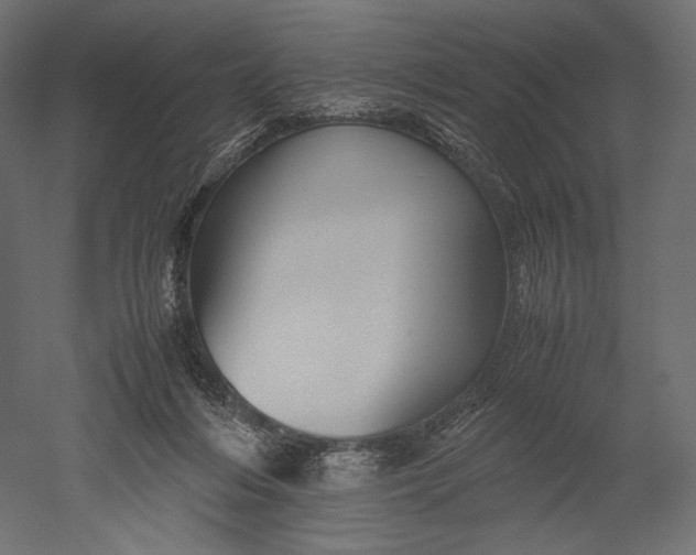 X0000051250216200507011701