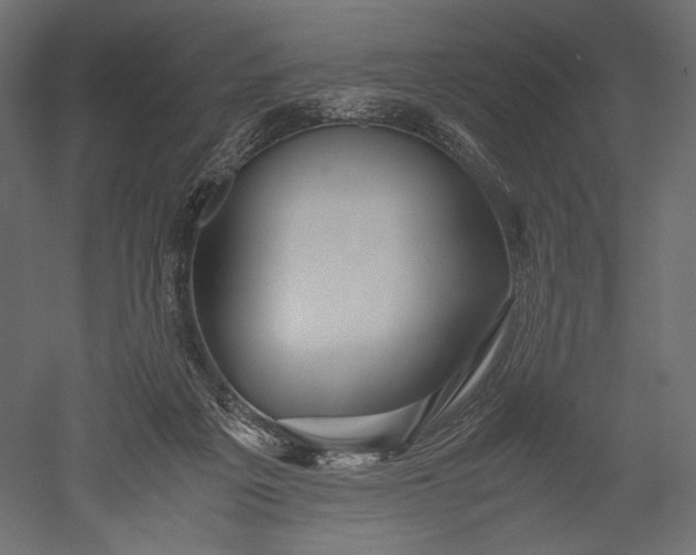 X0000051250217200507011701