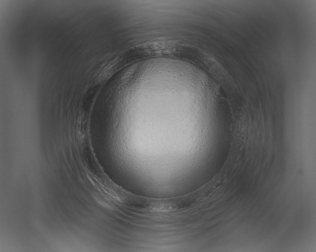 X0000051250218200507011701