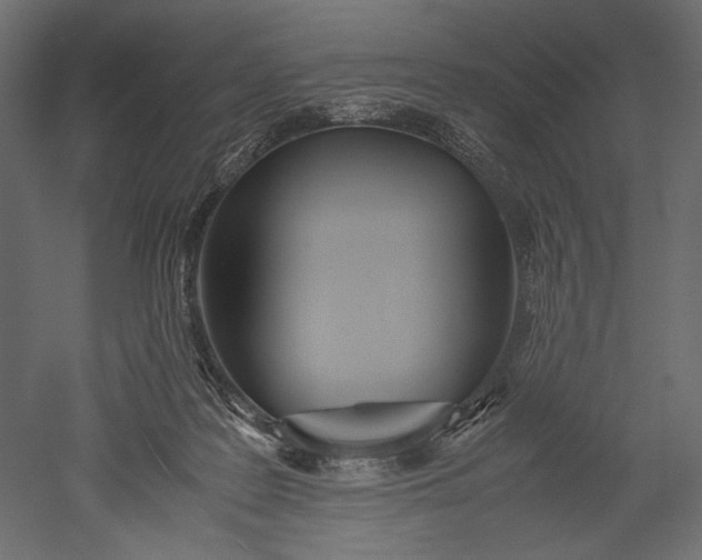 X0000051250219200507011701