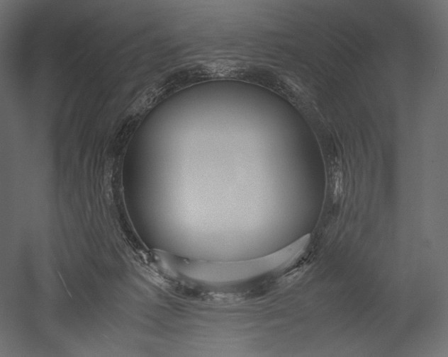 X0000051250221200507011701