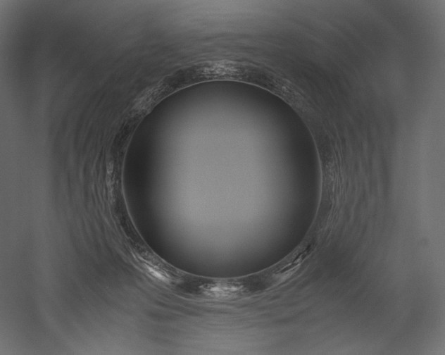 X0000051250223200507011701