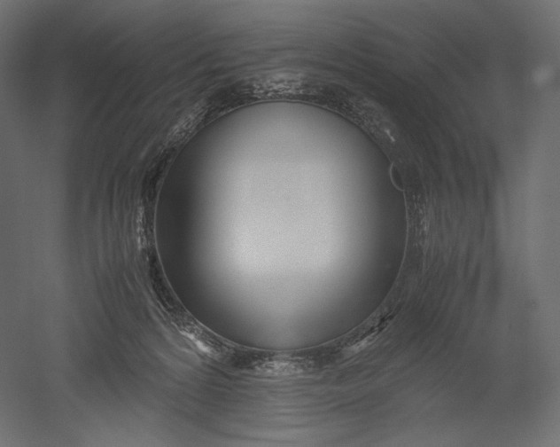 X0000051250224200507011701