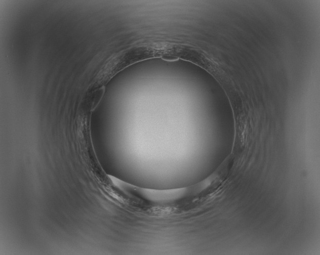 X0000051250225200507011700