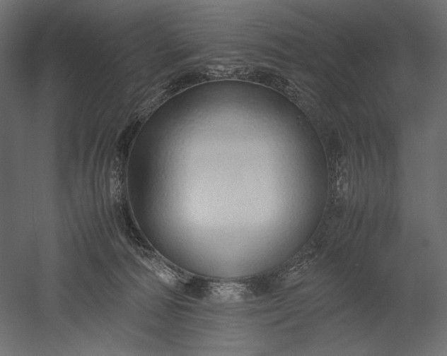 X0000051250226200507011700