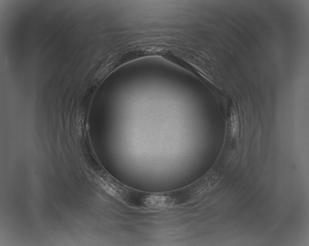 X0000051250227200507011700