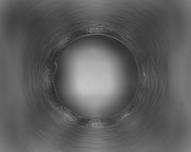 X0000051250228200507011700